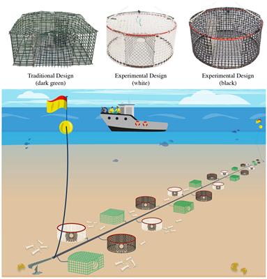 Efficient and sustainable: innovative pot design for a Mediterranean small-scale fishery